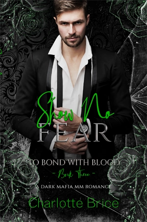 Show No Fear book cover